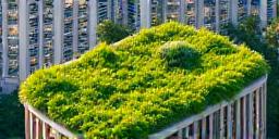 Green Roofing Urban Greening Systems